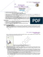 Parazitologie CURS 3.II Si LP 3.II (Sporozoare II - MALARIE)- 11.11.20