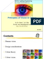 Principles of Vision & Colour: Ir Dr. Sam C. M. Hui