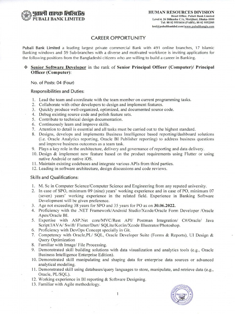 Software Developer Career | PDF