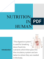 Human Nutrition Process