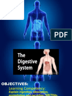 Cot Grade 8 - Digestie System