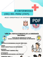 Colegio de Enfermeros Del Peru - Bases Conceptuales - Saldarriaga