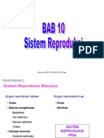 Bab 10 Reproduksi