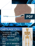 CARTILAGE-CELL
