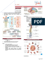 Pain (Pain and Surgery Notes)