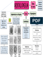 Mapa Mental Embriologia LeA