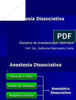 Anestesia Dissociativa em Pequenos Animais