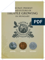 Truffle Growing: The Past, Present and Future of