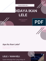 BUDIDAYA IKAN LELE Dzaki Fari XI MIPA 6