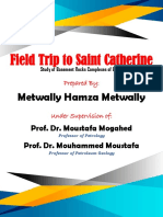 The Cover Report of The Study of The Outcrops of The Egyptian Basement Rocks Complexes (Filed Trip To Saint Catherine)