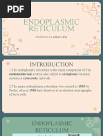 SER vs RER: Functions and Differences | PDF | Endoplasmic Reticulum ...