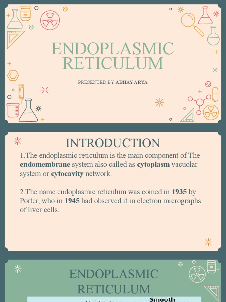 Endoplasmic Reticulum Overview by Abhay Arya | PDF | Endoplasmic ...