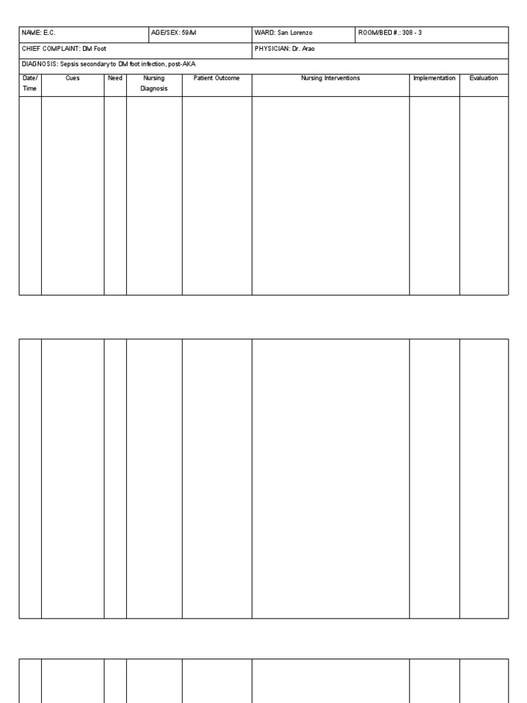 NCP Template | PDF | Law | Science & Mathematics