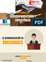 Sesión 8 - La Reorganización Societaria