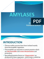 AMYLASES Presentation