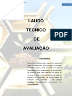 Laudo Tecnico de Avaliação - Fazenda Castanhal - Marcos Del Moral