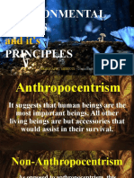 Environmental Ethics Principles: and It's