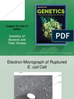 E. coli Genetics Chapter: Bacterial Genes and Genetic Exchange