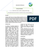 Informe 3 y 4 COMPLETO