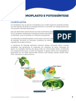 BIO AP Bioenergética Cloroplasto e Fotossíntese
