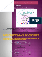 Biomolecular.08.02.2021 Clase 1