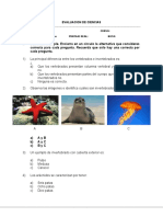 2basico - Evaluacion Vertebrados y Invertebrados