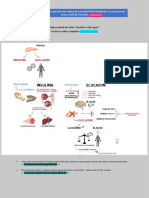 Mapa mental Insulina Glucagon Nutridiversidade