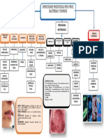 Odontologia