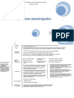 Impuestos Municipales Esquema