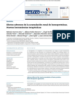 Efectos Adversos de La Acumulación Renal de Hemoproteínas. Nuevas Herramientas Terapéuticas