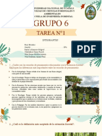 Extensión Forestal