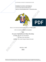 Streptococcus Pyogenes Resistanceefecto in Vitro Del Extracto Hidroalcoholico de Hojas de Vallesia Glabra Sobre El Cremiento de S Pyogenes