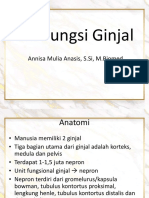 Tes Fungsi Ginjal