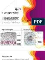 Tejidos Simples y Compuestos