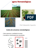 Prática 1 - Coleta e processamento de amostras nematológicas