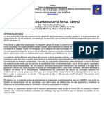 Documento Guia Ecocardiografia Fetal Cerpo Dra Patricia Acosta Vasquez - Archivo