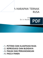 Satwa Rusa PPT PDF Free
