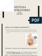 Sistema respiratorio: estructura, función y enfermedades