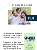 Clasificación Triaxal de La Familia