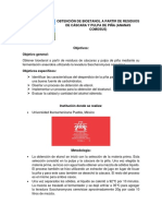 Obtención de Bioetanol A Partir de Residuos de Cáscara y Pulpa de Piña