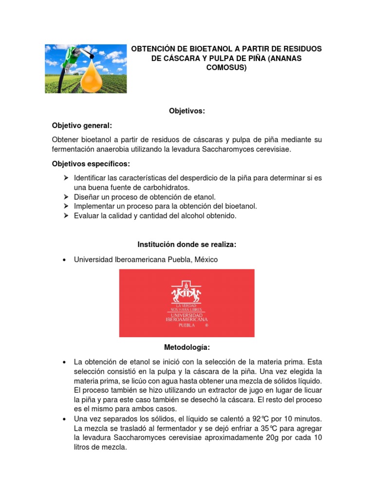 Obtención de Bioetanol de Piña | PDF | Combustible de etanol | Etanol