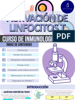 Activación y Diferenciación de Linfocitos T - Sinapsis Inmunológica - Subgrupos de Linfocitos T