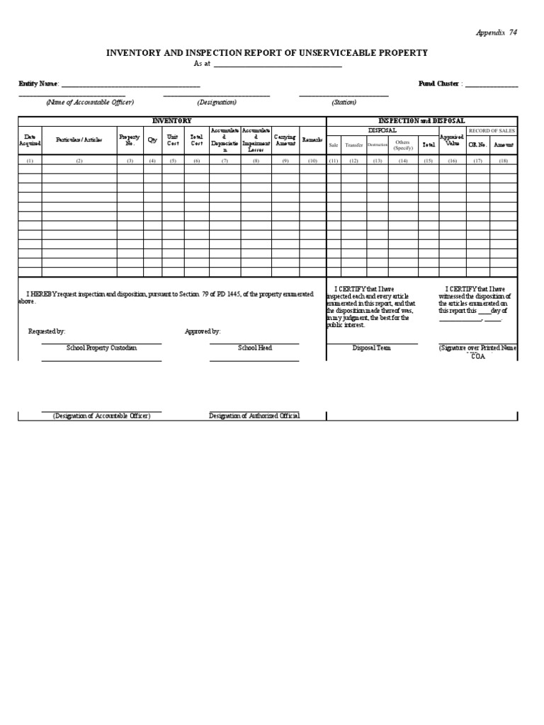 Inventory and Inspection Report of Unserviceable Property (Iirup) PDF