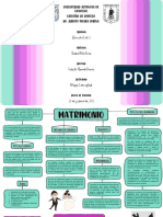 Mapa Conceptual Matrimonio Derecho Civil