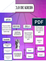 Ciclo Diagrama 1