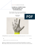 ¿Es La Bioelectricidad La Clave para La Regeneración de Las Extremidades - El Neoyorquino