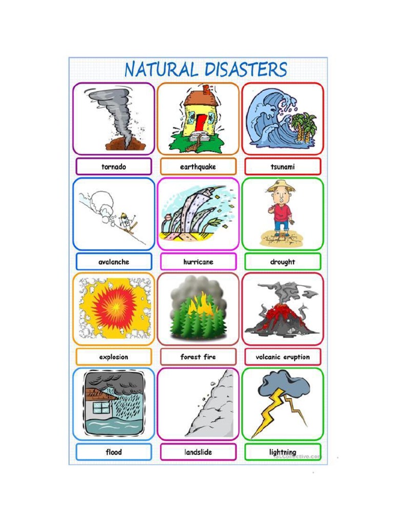 Natural Disaster | PDF