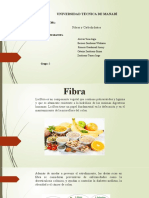 Fibras y Carbohidratos