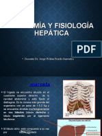Aula 07- Anatomia y Fisiología Hepática