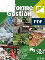 Informe de Gestion Ica 2021